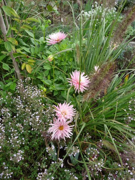  - 2020 - 03 - Toamna