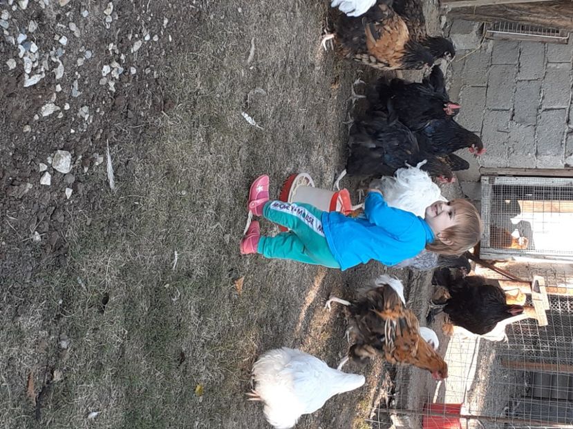  - Familia mea