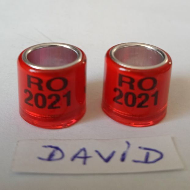 2021-rosu 8mm....-1 leu - Inele porumbei 2021 de vanzare