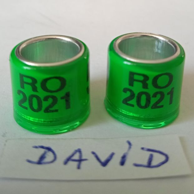 2021-verde  8mm....-1 leu - Inele porumbei 2021 de vanzare