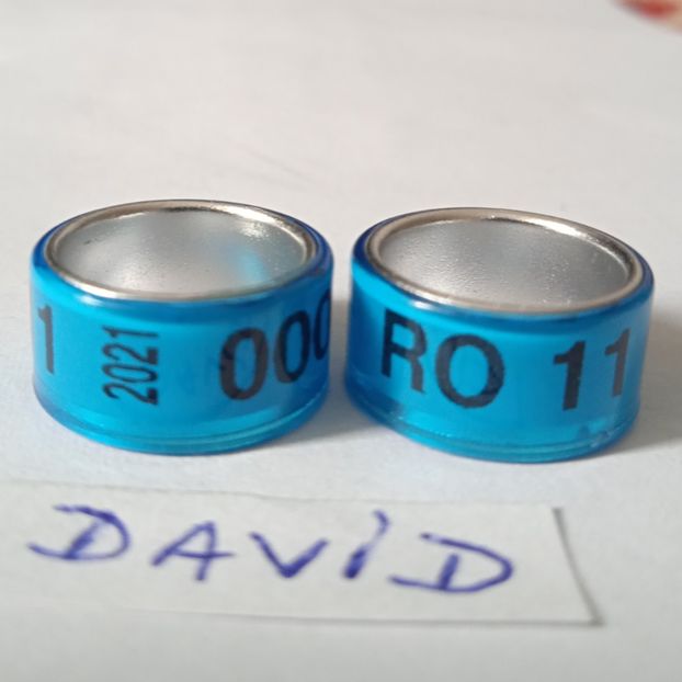 2021-albastru 11mm....-1 leu - Inele porumbei 2021 de vanzare