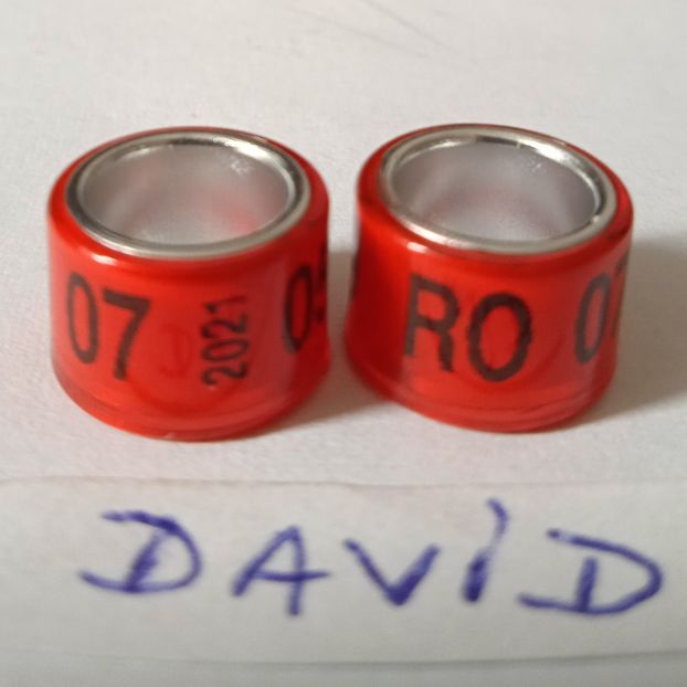 2021-rosu 7mm....-1 leu - Inele 2014