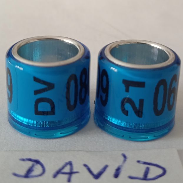 2021-DV 8mm. fara talon...-1,5 lei - Inele 2014