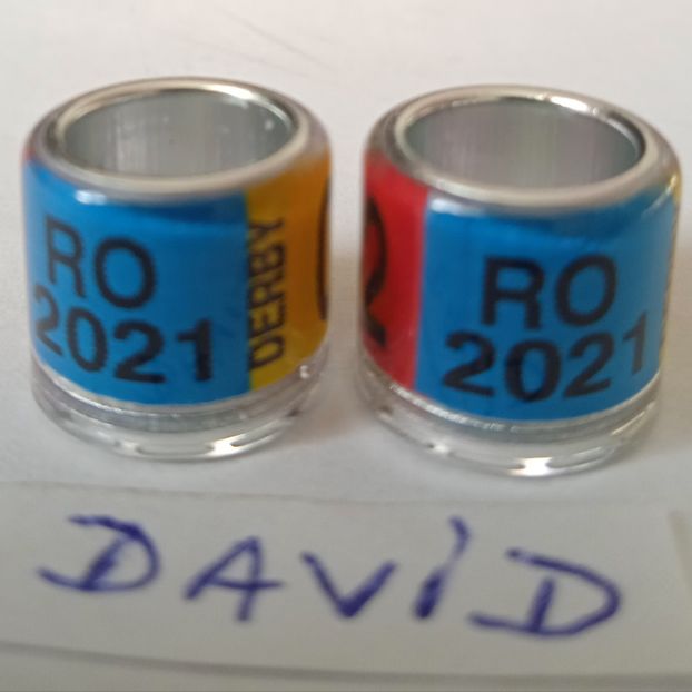 2021-tricolor 8mm....-1 leu - Inele porumbei 2021 de vanzare - David11