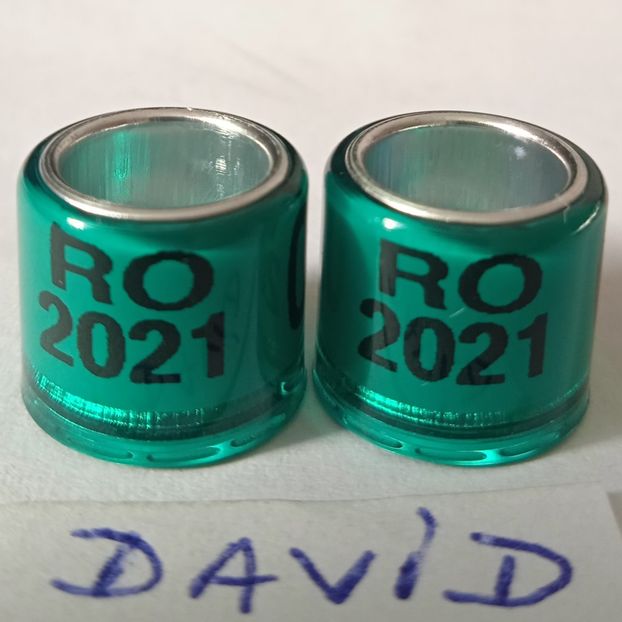 2021-verde inchis 8mm....-1 leu - Inele 2014