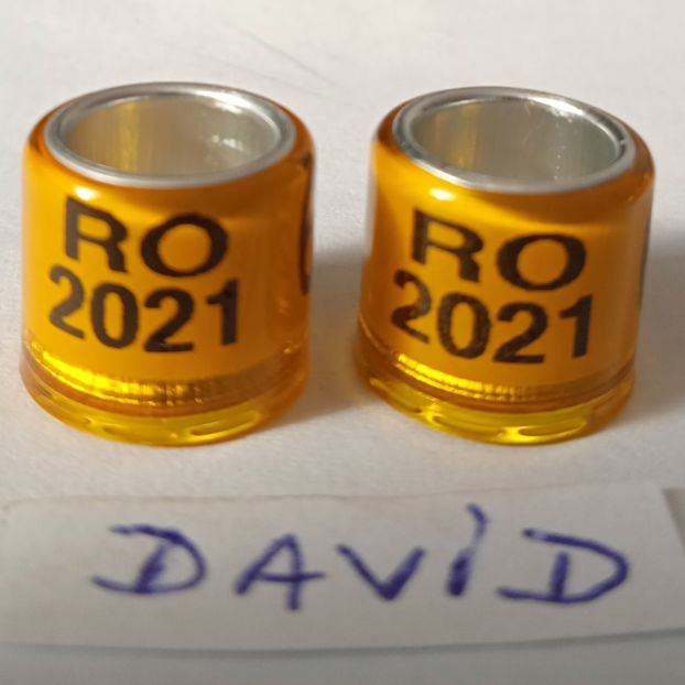 2021-galben 8mm....-1 leu - Inele porumbei 2021 de vanzare