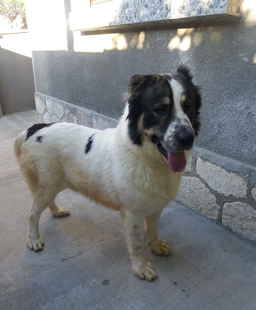  - Mascul2 15-04-2019