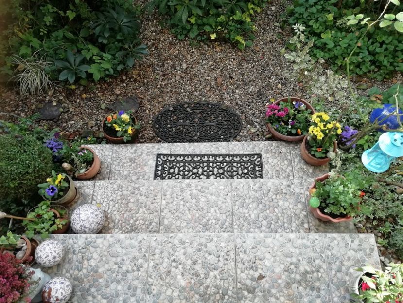 17.10.2020 - Grădina 2020 continuare 2