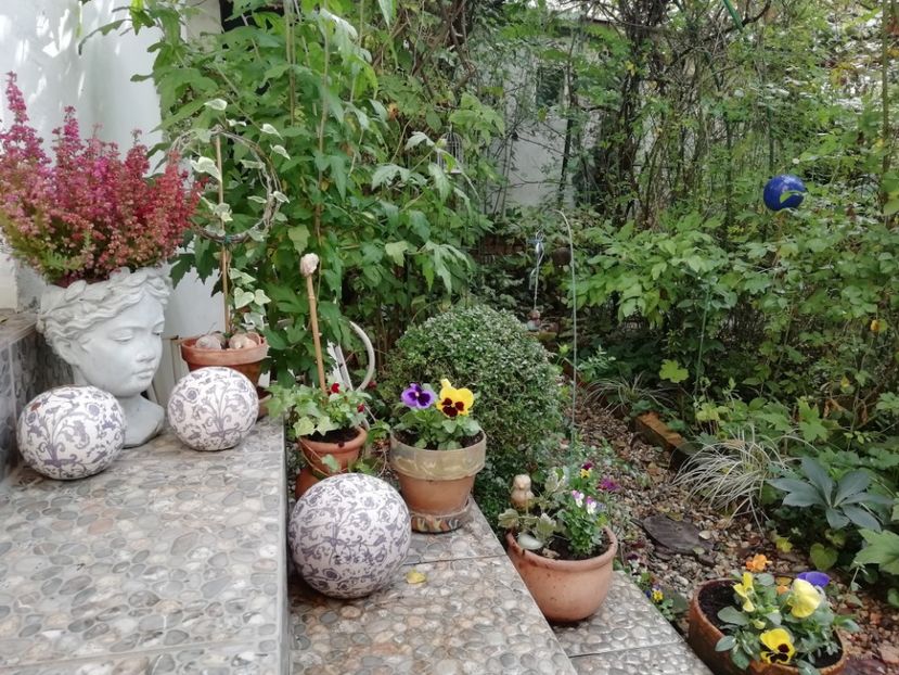  - Grădina 2020 continuare 2