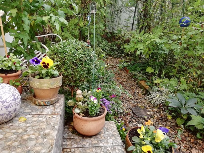  - Grădina 2020 continuare 2