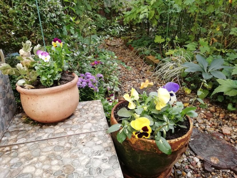  - Grădina 2020 continuare 2