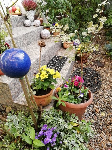  - Grădina 2020 continuare 2