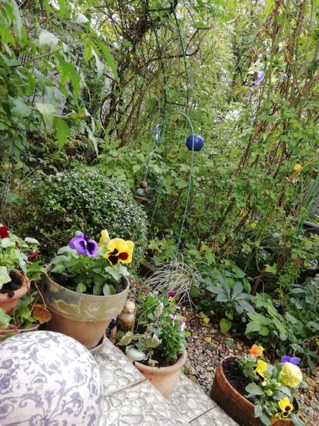  - Grădina 2020 continuare 2