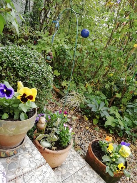  - Grădina 2020 continuare 2