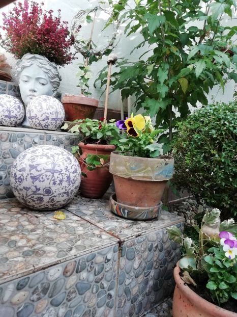  - Grădina 2020 continuare 2