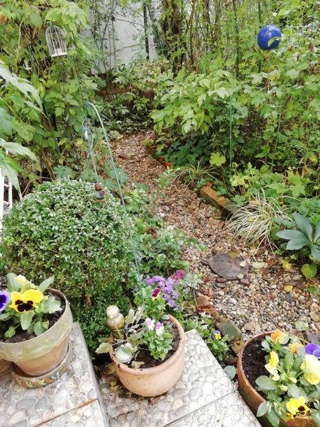  - Grădina 2020 continuare 2