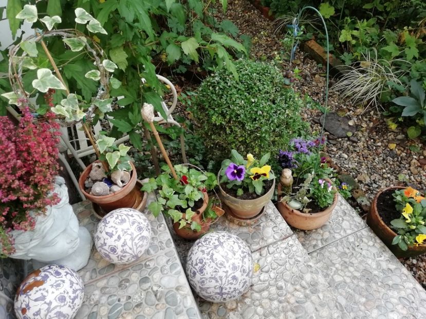  - Grădina 2020 continuare 2