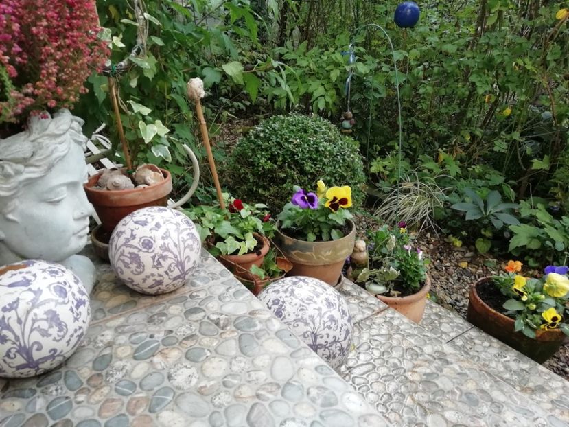  - Grădina 2020 continuare 2