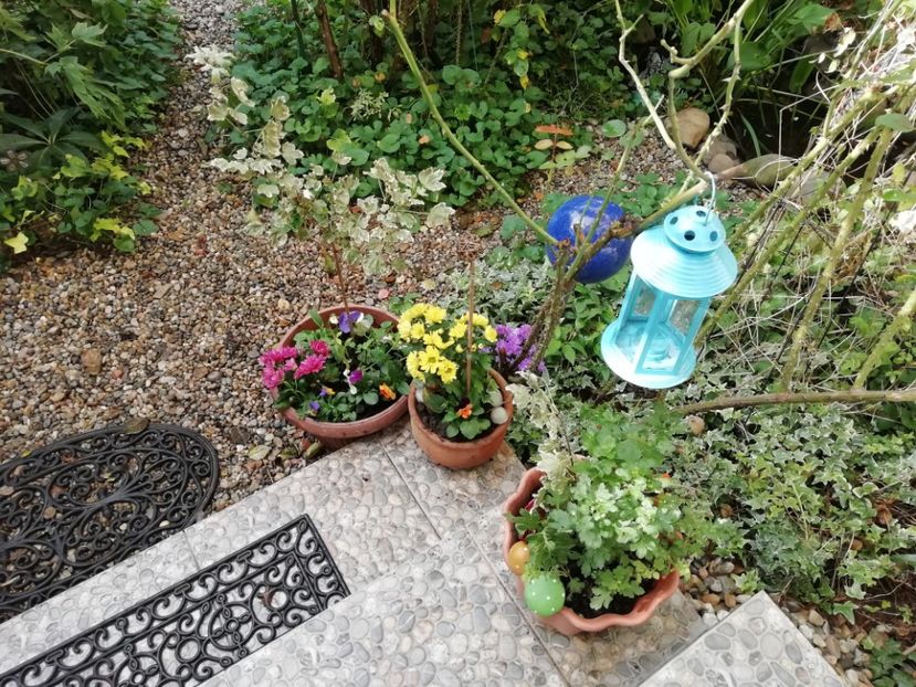  - Grădina 2020 continuare 2