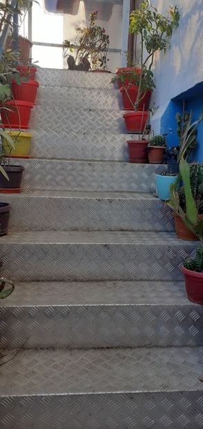  - Flori diverse