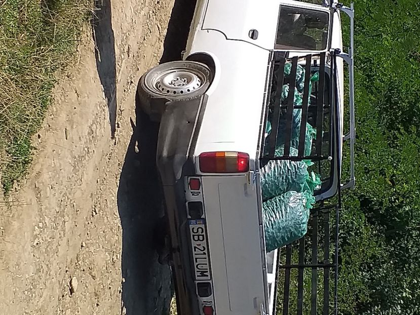  - Recoltă prune 2019