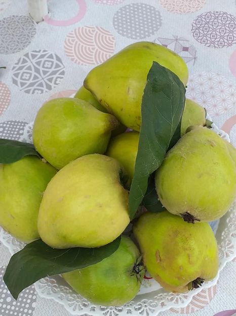  - Fructe din gradina mea