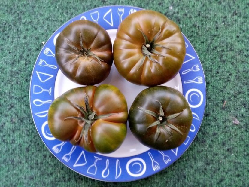 MARMANDE  SWEET DARK BROWN 1 - TOMATE 2020 ALBUM 15