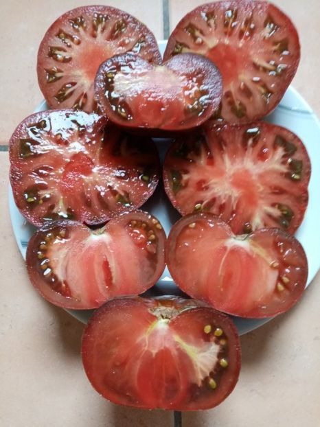 MARMANDE SWEET DARK BROWN 3 - TOMATE 2020 ALBUM 15