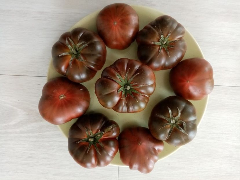 MARMANDE SWEET DARK BROWN 5 - TOMATE 2020 ALBUM 15