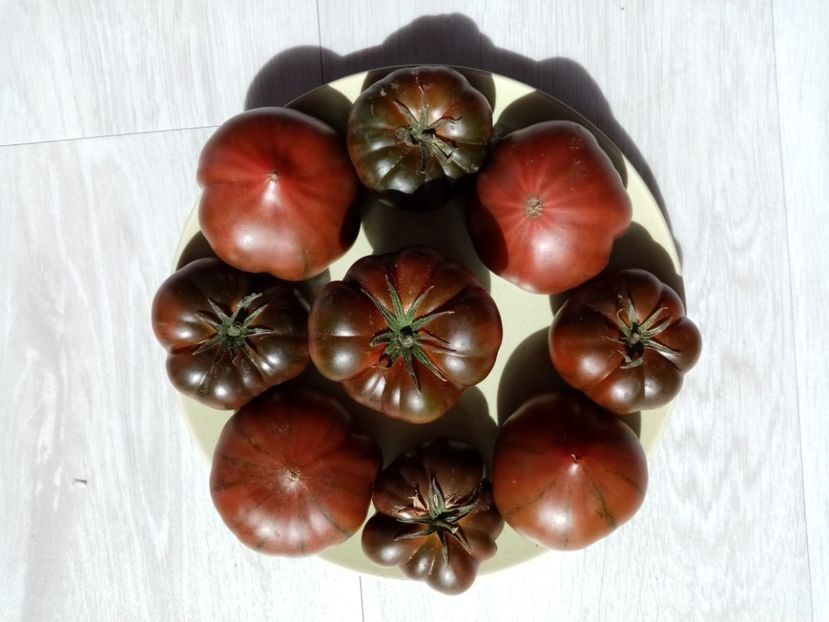 MARMANDE SWEET DARK BROWN 6 - TOMATE 2020 ALBUM 15