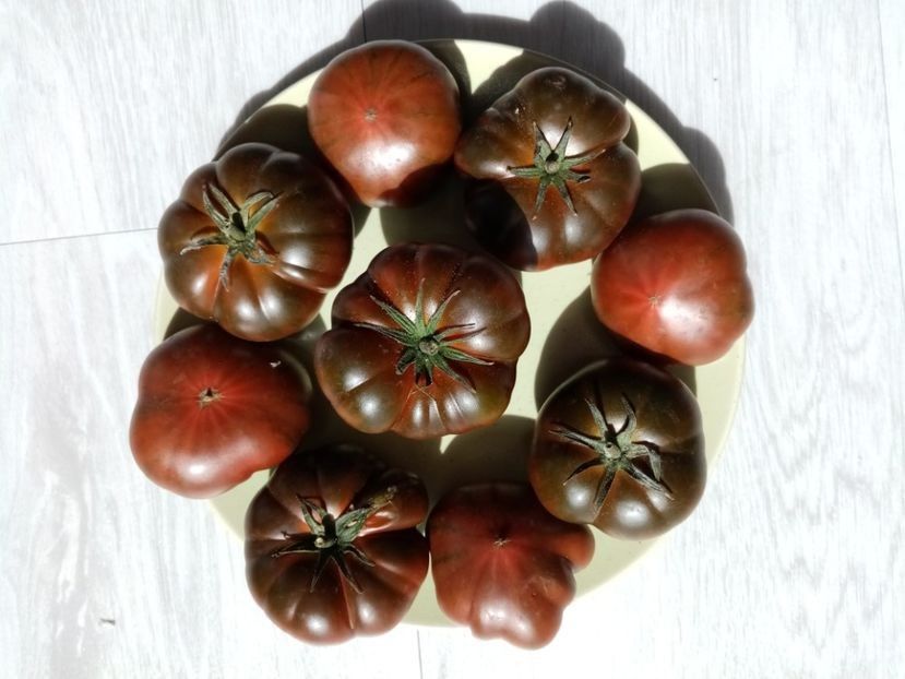 MARMANDE SWEET DARK BROWN 7 - TOMATE 2020 ALBUM 15