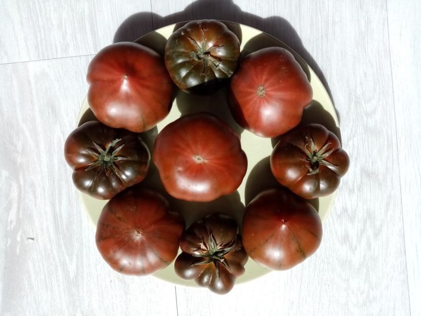 MARMANDE SWEET DARK BROWN - TOMATE 2020 ALBUM 15