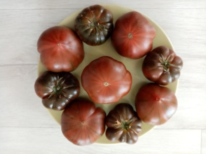 MARMANDE SWEET DARK BROWN - TOMATE 2020 ALBUM 15