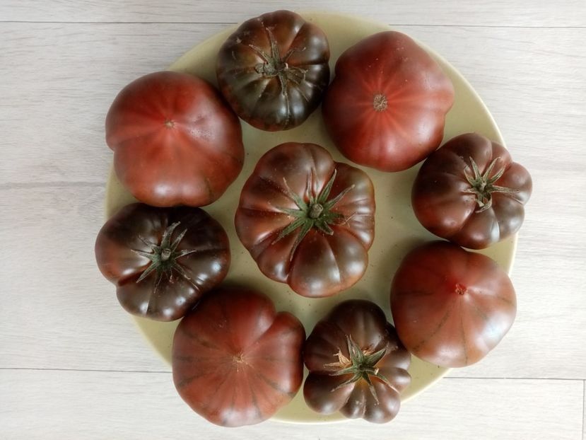 MARMANDE SWEET DARK BROWN - TOMATE 2020 ALBUM 15