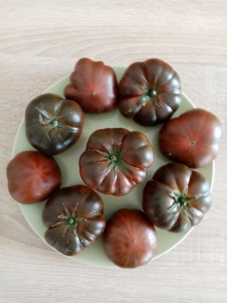 MARMANDE SWEET DARK BROWN - TOMATE 2020 ALBUM 15
