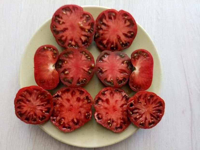 PRIMORA 6 - TOMATE 2020 ALBUM 15