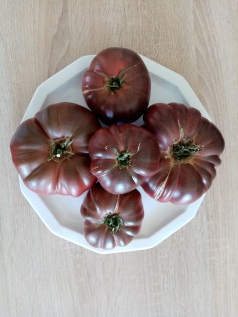 BLACK RUSSIAN 000 - TOMATE 2020 ALBUM 15