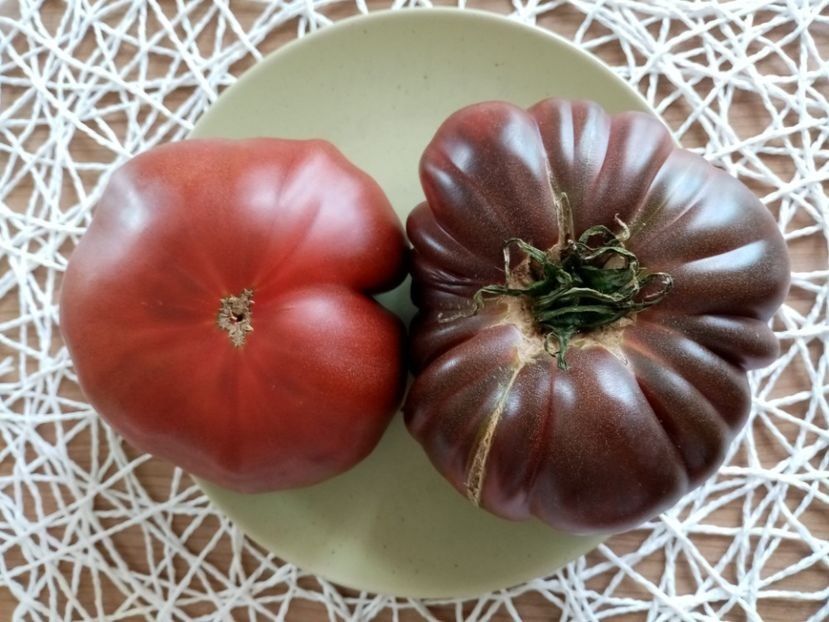 BLACK RUSSIAN 1 - TOMATE 2020 ALBUM 15