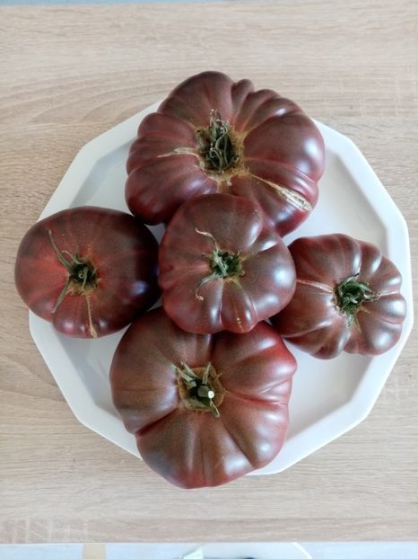 BLACK RUSSIAN 2 - TOMATE 2020 ALBUM 15