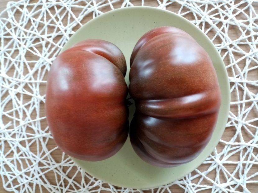 BLACK RUSSIAN 3 - TOMATE 2020 ALBUM 15