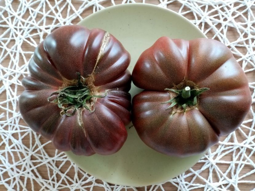 BLACK RUSSIAN 4 - TOMATE 2020 ALBUM 15