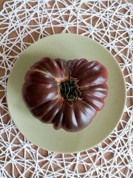 BLACK RUSSIAN 5 - TOMATE 2020 ALBUM 15