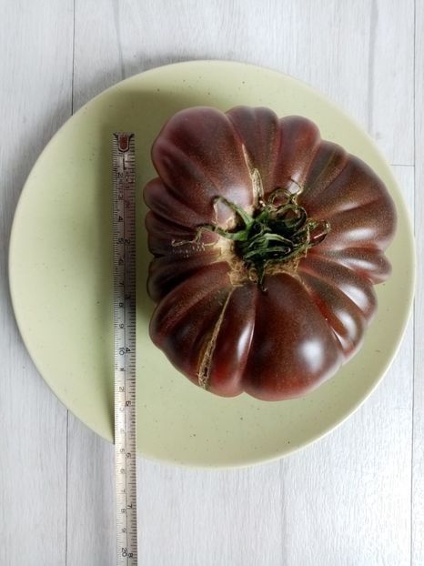 BLACK RUSSIAN 9 - TOMATE 2020 ALBUM 15