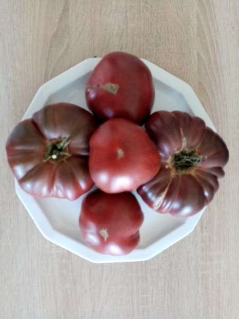 BLACK RUSSIAN 11 - TOMATE 2020 ALBUM 15