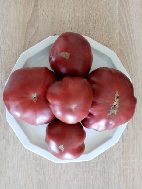 BLACK RUSSIAN 12 - TOMATE 2020 ALBUM 15