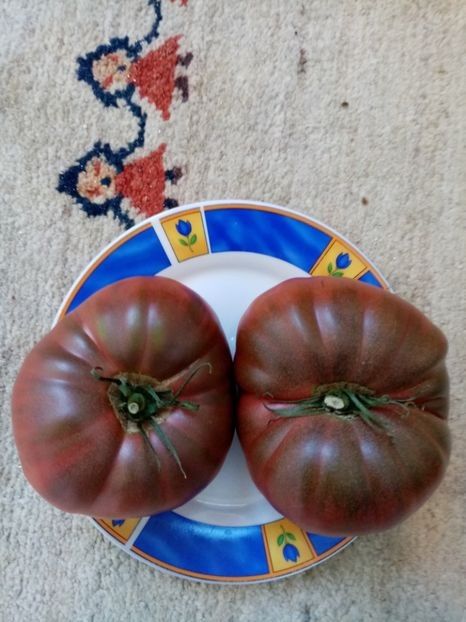 CHEROKEE CHOCOLATE - TOMATE 2020 ALBUM 15