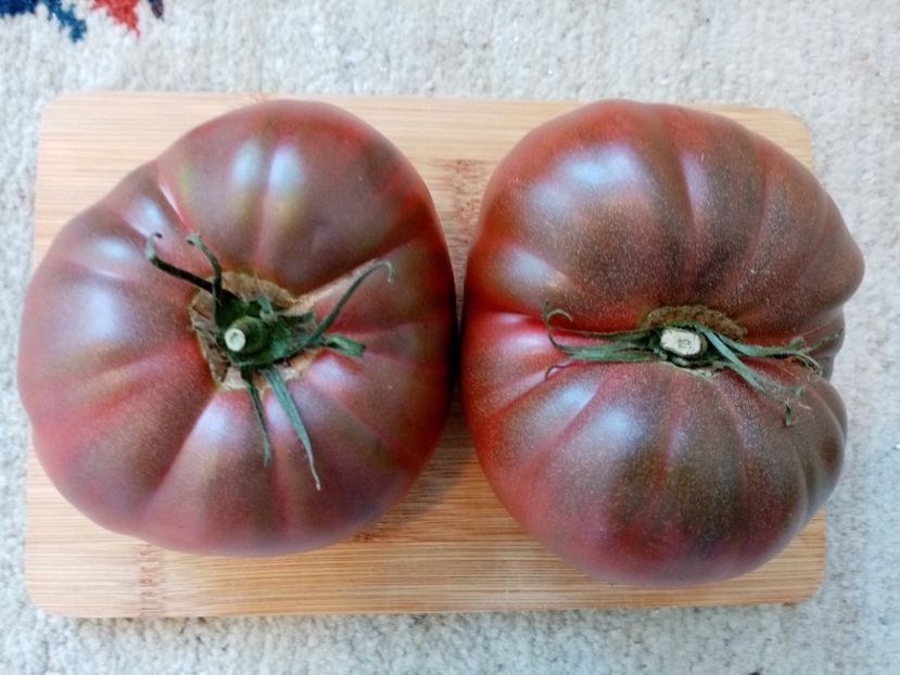 CHEROKEE CHOCOLATE 2 - TOMATE 2020 ALBUM 15