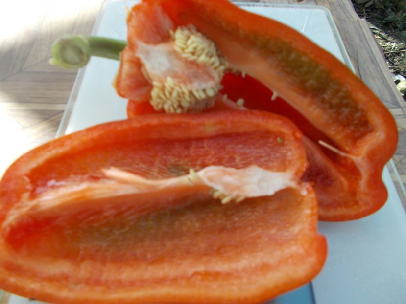  - SEMINTE ARDEI - A 26 LAMUYO PAPRIKA