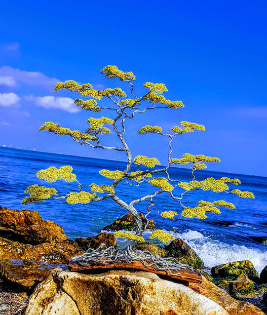  - POMISORI Feng shui - de vanzare