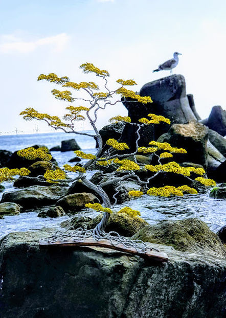  - POMISORI Feng shui - de vanzare